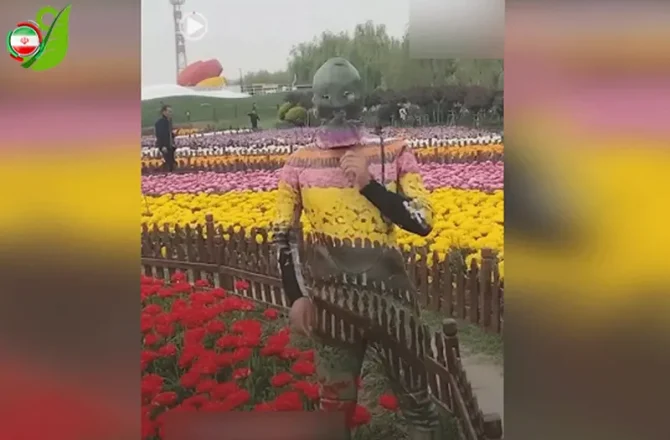 استتار هنرمندانه هنرمند چینی در میان گل ها